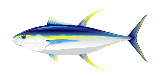 tuna